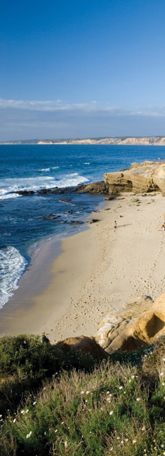 California Coast - READIVAN San Diego.